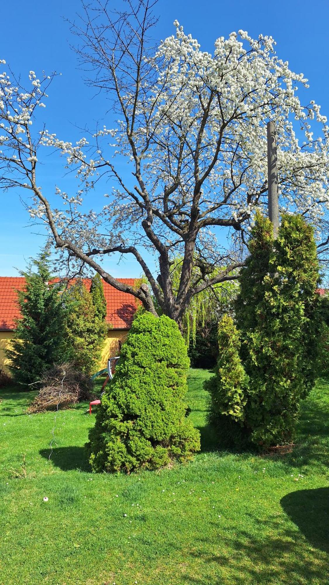 Prague Zbraslav Old Gardenアパートメント エクステリア 写真